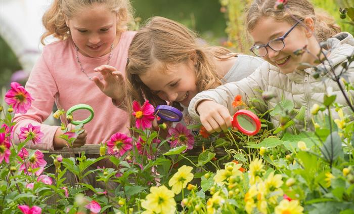 Family activities run every school holiday